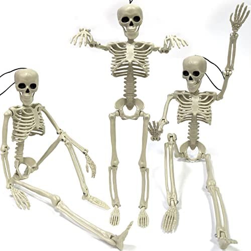 3 Pack Posable Halloween Skeleton Decorations Full Body Halloween Hanging Skeletons with Movable Joints 15 Inch Realistic Skeleton Halloween Haunted House Props Graveyard Indoor Outdoor Party Decor
